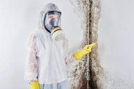 Best Asbestos and Lead Testing During Mold Inspection  in Ketchum, ID